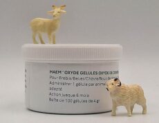 haem'oxyde 4gr : moutons et chèvres aide au contrôle d'haemonchus