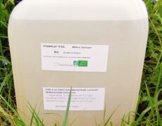 hydrolat d'aÏl bio allium sativum bidon de 10 litres