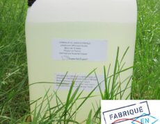 hydrolat de liveche feuille 10 litres