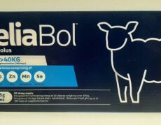 bolus mouton chevre 5 oligo éléments action 6 mois utilisable en ab