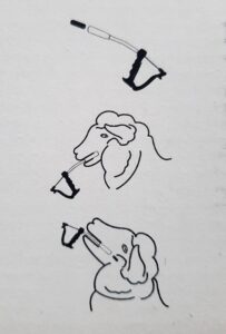 bolus mouton chevre 5 oligo éléments action 6 mois utilisable en ab