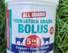 bolus jeune bovins 5 oligo elements action 6 mois